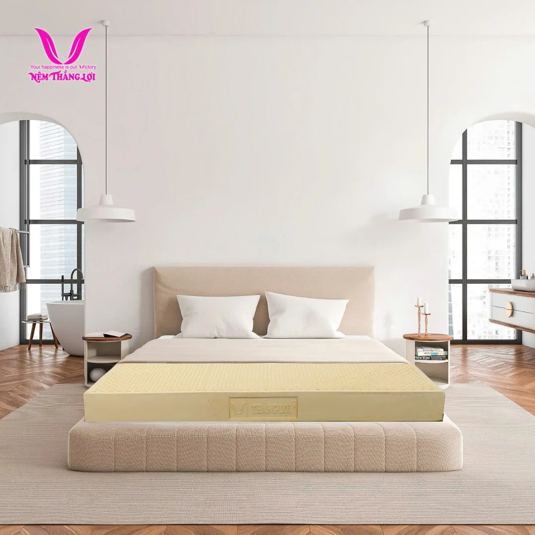 Nệm cao su thiên nhiên Thắng Lợi TiTi Double Function chính hãng