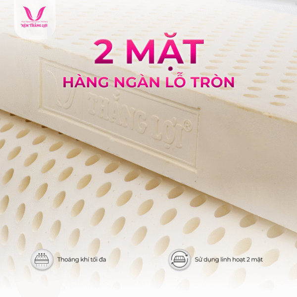 NỆM 100% CAO SU THIÊN NHIÊN THẮNG LỢI TITI – DOUBLE FUNCTION - Hình ảnh 3