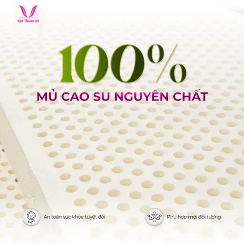 Alternative view of NỆM 100% CAO SU THIÊN NHIÊN THẮNG LỢI TITI – DOUBLE FUNCTION