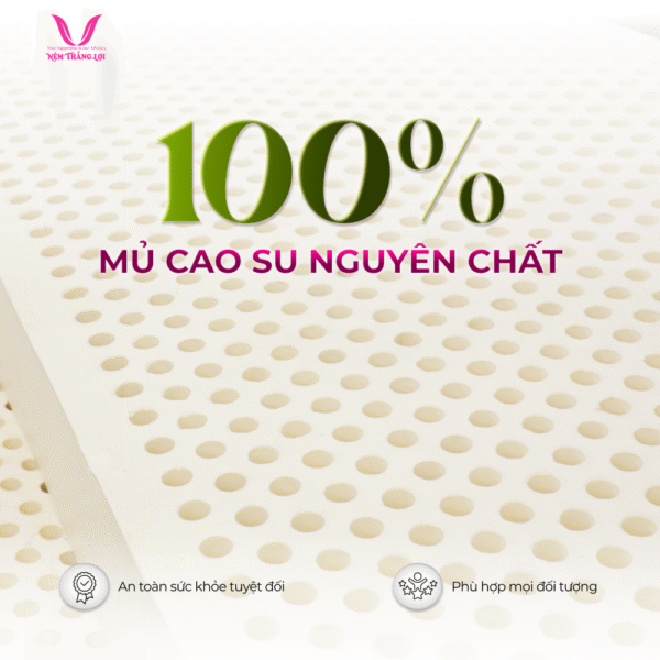 NỆM 100% CAO SU THIÊN NHIÊN THẮNG LỢI TITI – DOUBLE FUNCTION - Hình ảnh 2