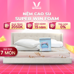 NỆM CAO SU SUPER WIN FOAM THẮNG LỢI