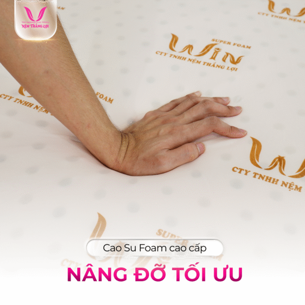 NỆM CAO SU SUPER WIN FOAM THẮNG LỢI - Hình ảnh 4