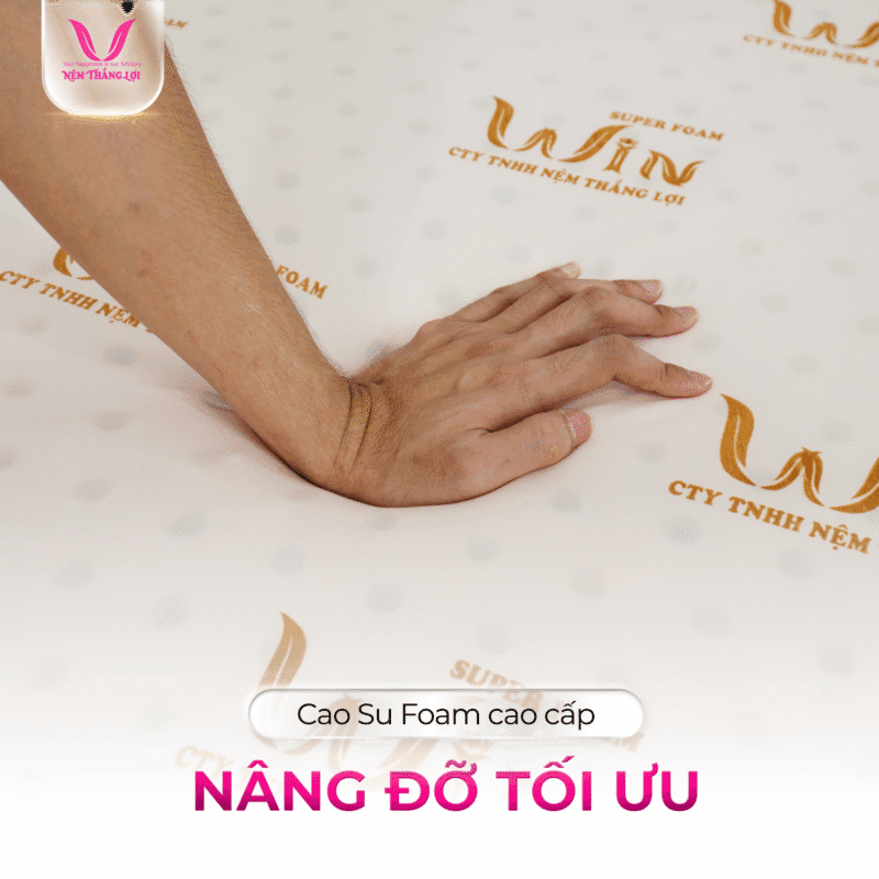 NỆM CAO SU SUPER WIN FOAM THẮNG LỢI - Ảnh 5