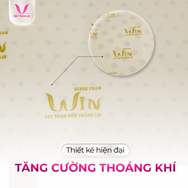 NỆM CAO SU SUPER WIN FOAM THẮNG LỢI - Hình ảnh 3