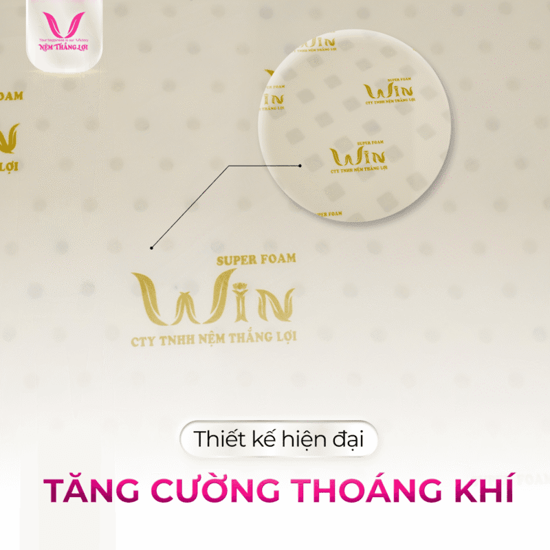 NỆM CAO SU SUPER WIN FOAM THẮNG LỢI - Ảnh 4