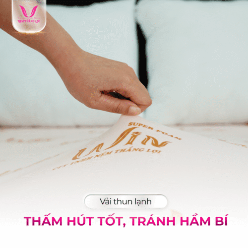 nemthangloichinhhang.vn win foam thang loi vai thun