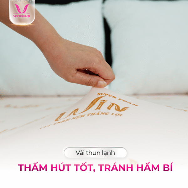 NỆM CAO SU SUPER WIN FOAM THẮNG LỢI - Hình ảnh 2