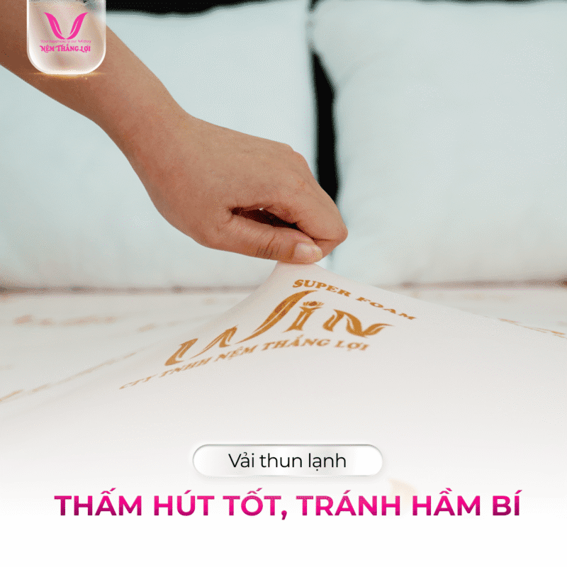 NỆM CAO SU SUPER WIN FOAM THẮNG LỢI - Ảnh 3