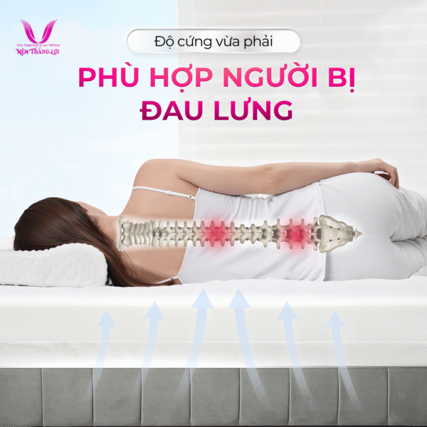 NỆM CAO SU WONDERFOAM THẮNG LỢI - Hình ảnh 2