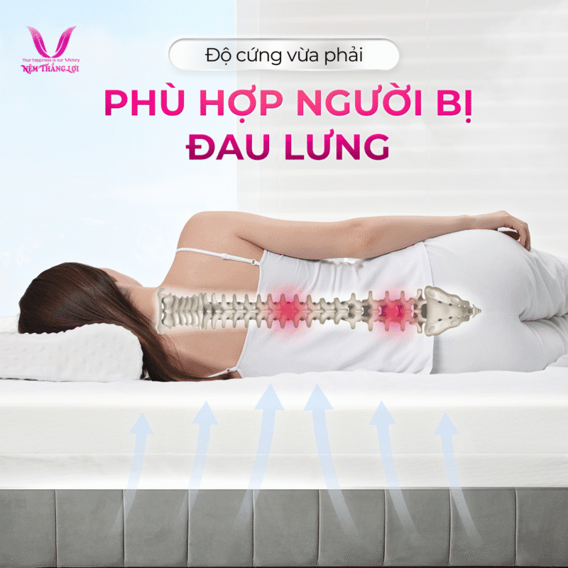 NỆM CAO SU WONDERFOAM THẮNG LỢI - Ảnh 3