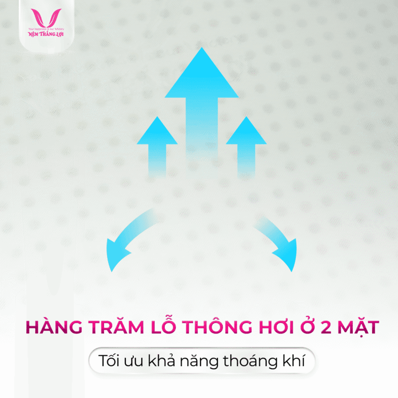 NỆM CAO SU WONDERFOAM THẮNG LỢI - Ảnh 5
