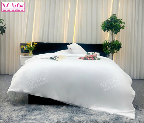 DRAP MỀN 1 MÀU TENCEL LỤA CAO CẤP THẮNG LỢI SUPER WIN - Hình ảnh 4