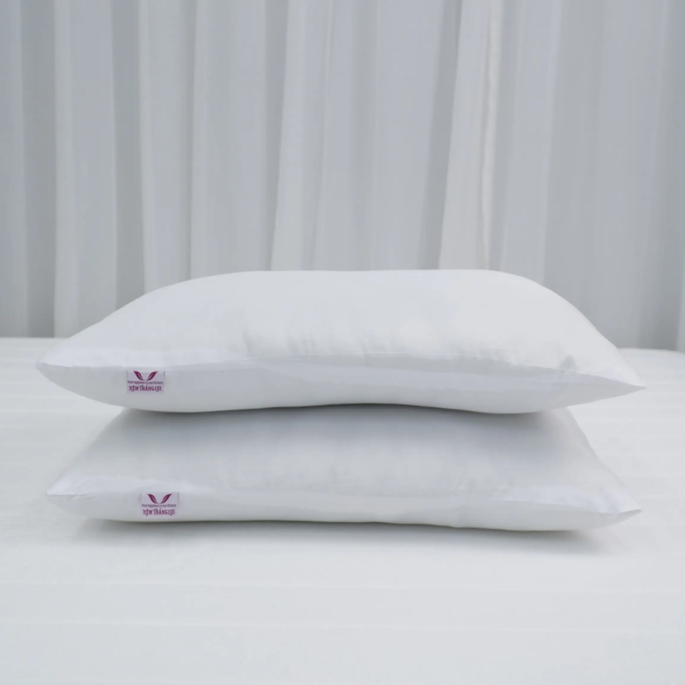 02 gối ôm bông ép