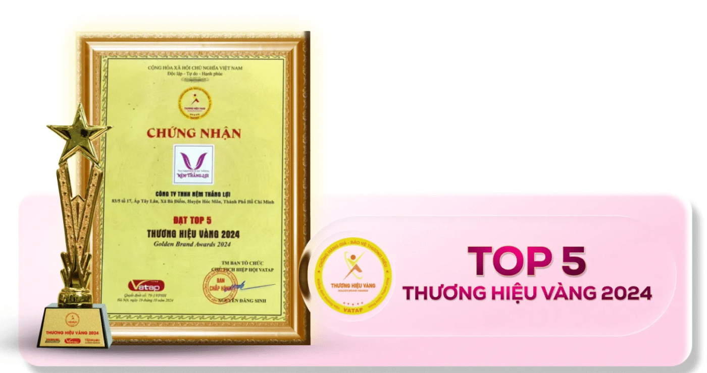 nemthangloichinhhang.vn chung nhan top 5 thuong hieu vang