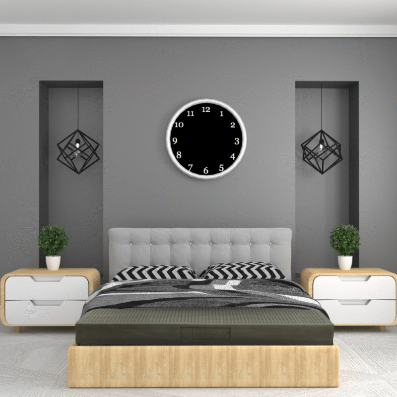 Nem CSTN Thang Loi BoBo Than Hoat Tinh 900 x 900