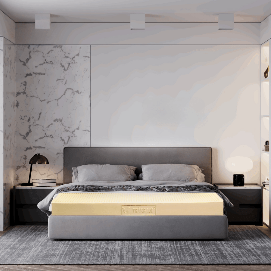 NỆM 100% CAO SU THIÊN NHIÊN THẮNG LỢI SISI – ADVANCED - Ảnh 7