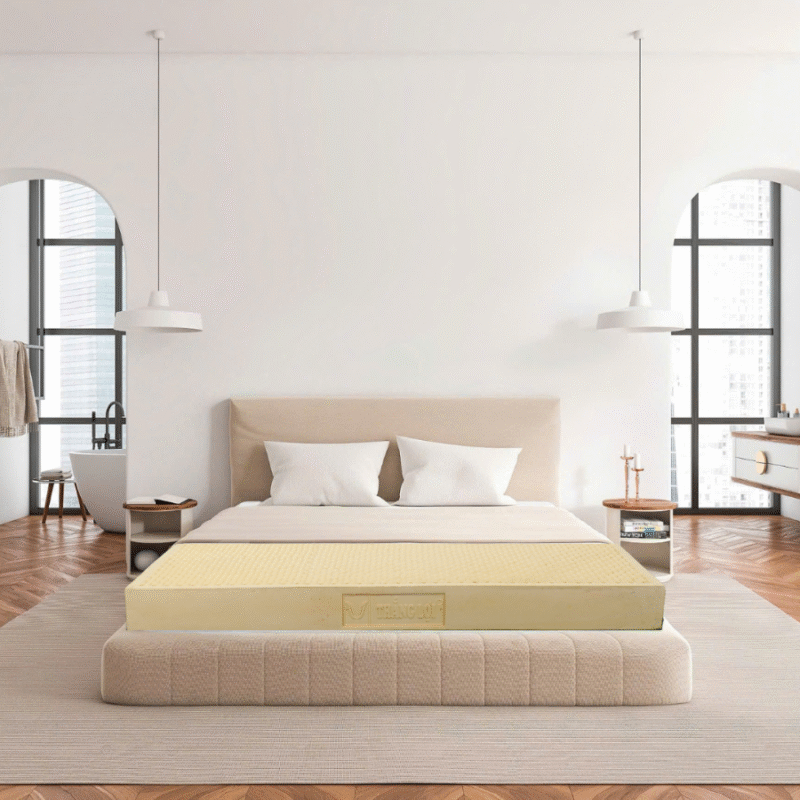 Nem CSTN Thang Loi TiTi Double Function 900 x 900