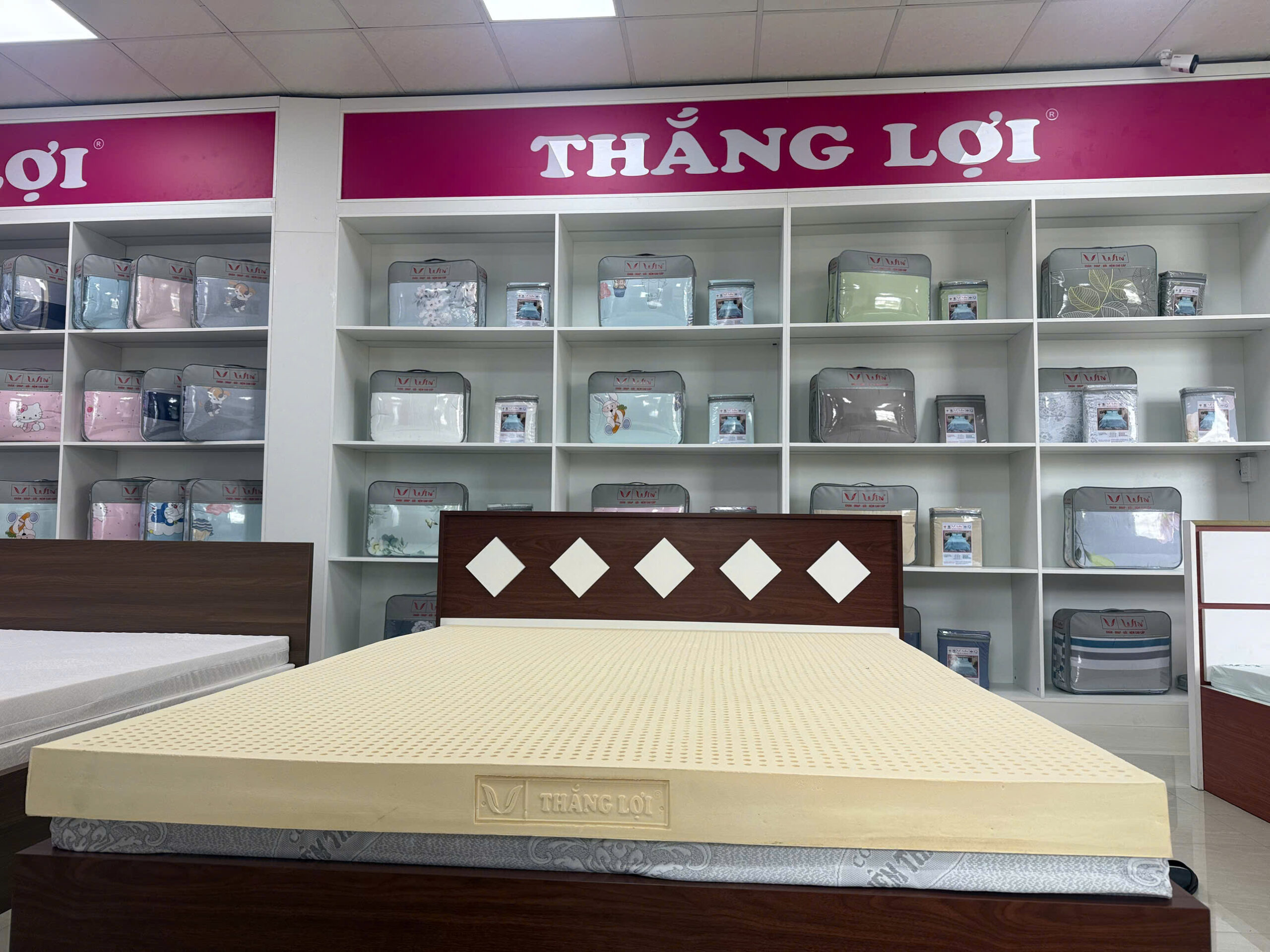 nemthangloichinhhang.vn CSTN Thang Loi SiSi Advanced scaled