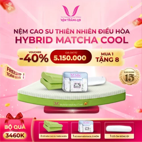Nệm Cao Su Thiên Nhiên Điều Hòa Hybrid matcha cool