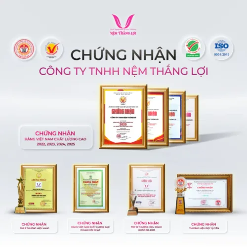 nemthangloichinhhang.vn cac chung nhan nem thang loi