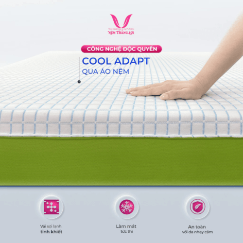 Alternative view of NỆM CAO SU THIÊN NHIÊN ĐIỀU HÒA HYBRID MATCHA COOL THẮNG LỢI