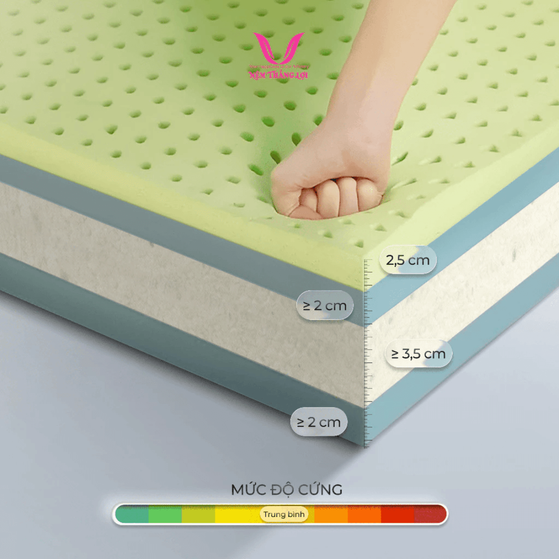 NỆM CAO SU THIÊN NHIÊN ĐIỀU HÒA HYBRID MATCHA COOL THẮNG LỢI - Ảnh 4