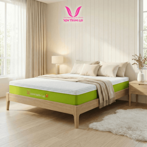 nemthangloichinhhang.vn thiet ke nem dieu hoa da tang