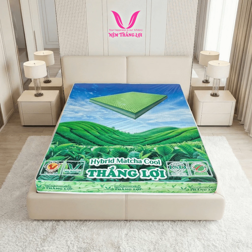 NỆM CAO SU THIÊN NHIÊN ĐIỀU HÒA HYBRID MATCHA COOL THẮNG LỢI - Ảnh 6