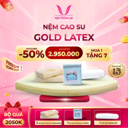 NỆM CAO SU GOLED LATEX THẮNG LỢI