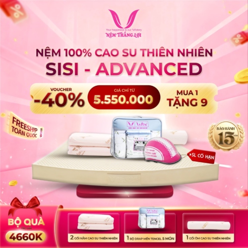 NỆM 100% CAO SU THIÊN NHIÊN THẮNG LỢI SISI – ADVANCED