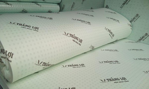 tổng kho nệm Thắng Lợi HCM