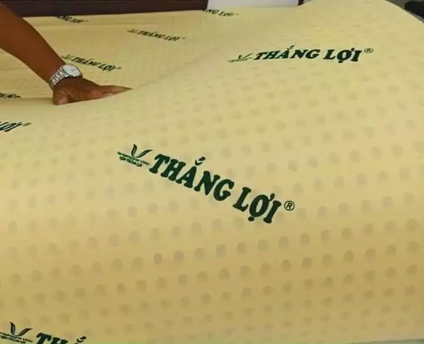 nệm cao su non Thắng Lợi