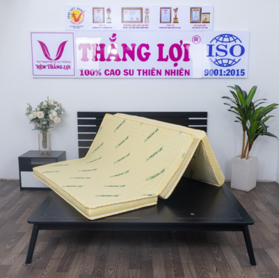 giá nệm cao su non Thắng Lợi 2026