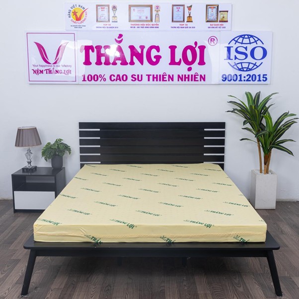  review nệm Thắng Lợi thực tế
