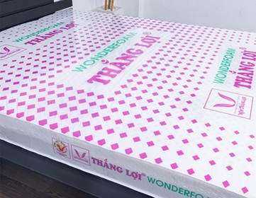 nệm Thắng Lợi tại TPHCM