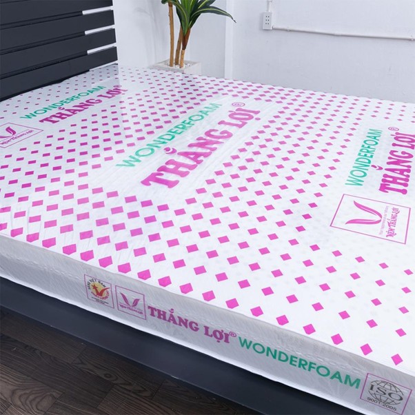 nệm Thắng Lợi tại TPHCM