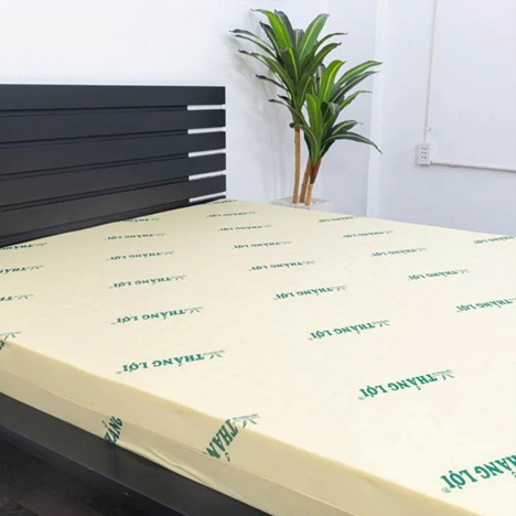 nệm Thắng Lợi KCN Tân Phú Trung