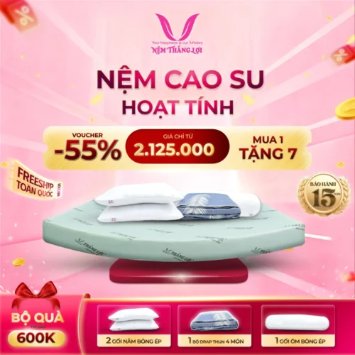 Nệm Cao Su Hoạt Tính