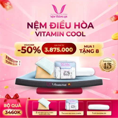 Nệm Điều Hòa Vitamin Cool