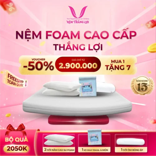 Nệm Foam Cao Cấp Thắng Lợi