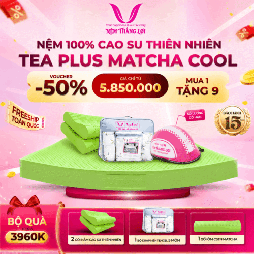 NỆM 100% CAO SU THIÊN NHIÊN THẮNG LỢI - TEA PLUS MATCHA COOL