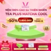 Nệm cao su thiên nhiên thắng lợi tea blus matcha cool