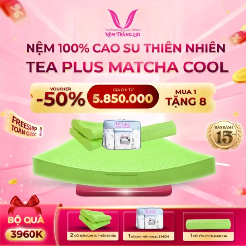 Nệm cao su thiên nhiên thắng lợi tea blus matcha cool