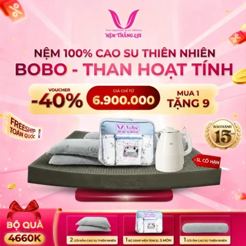 NỆM 100% CAO SU THIÊN NHIÊN THẮNG LỢI BOBO – THAN HOẠT TÍNH