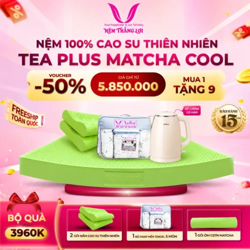 NỆM 100% CAO SU THIÊN NHIÊN THẮNG LỢI - TEA PLUS MATCHA COOL