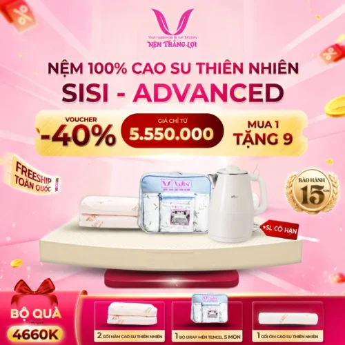NỆM 100% CAO SU THIÊN NHIÊN THẮNG LỢI SISI – ADVANCED