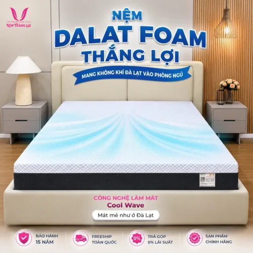 Alternative view of NỆM DALAT FOAM THẮNG LỢI
