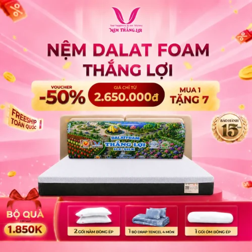 NỆM DALAT FOAM THẮNG LỢI