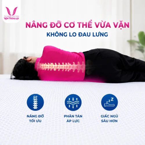 Nem Datlat Foam Thang Loi nang do vua van