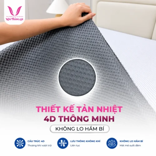 Nem Datlat Foam Thang Loi thiet ke tan nhiet